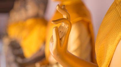 The Royal Yoga: A Path to Freedom