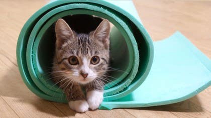 How to Pick a Good Yoga Mat