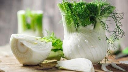 Seasonal Ayurvedic Wellness: Spring Edition