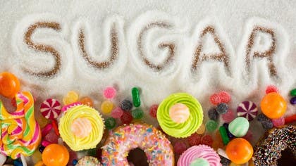 The Case Against Sugar