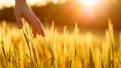 Coming to Your Senses