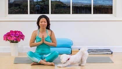 Faithful Yoga Companions